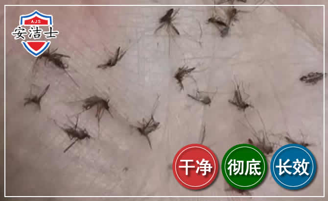 永康蚊子防治-灭蚊