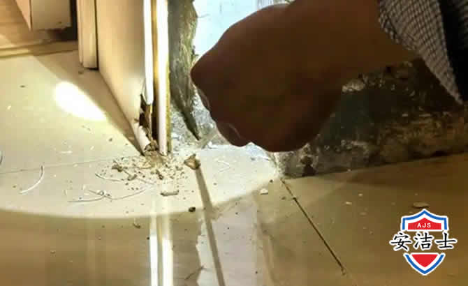 永康房屋建筑防治白蚁