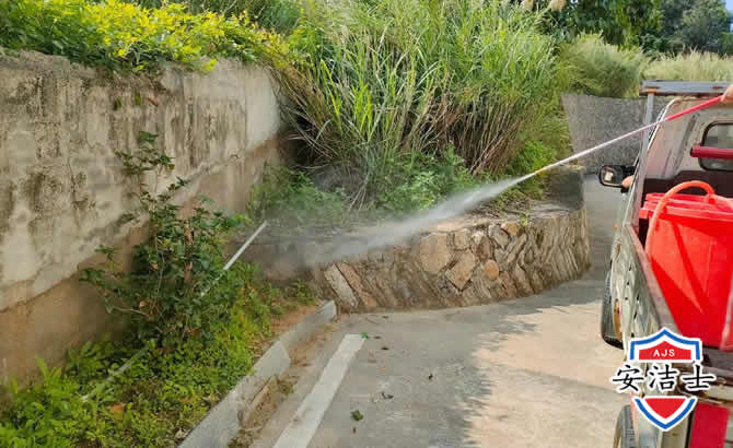 永康道路堤坝白蚁防治
