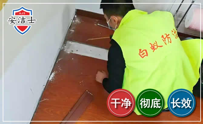 永康除四害现场