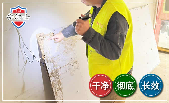 永康除白蚁现场