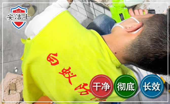 永康白蚁根治现场